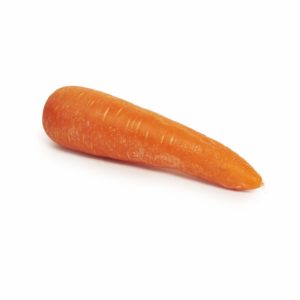 Carrot Seedlingcommerce © 2018 8073.jpg