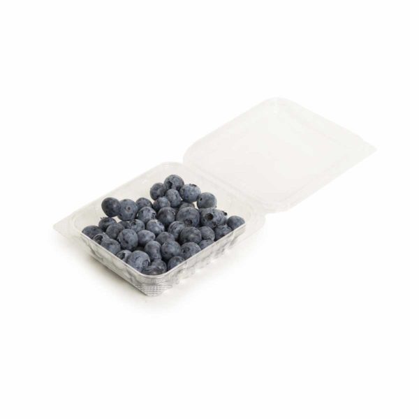 blueberries seedlingcommerce © 2018 8258.jpg