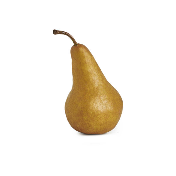 brown pear 2018 © seedling commerce.jpg