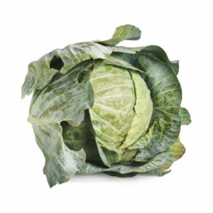 cabbage 2018 © seedling commerce.jpg