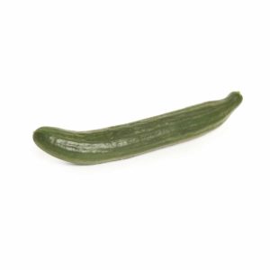 cucumber seedlingcommerce © 2018 7990.jpg