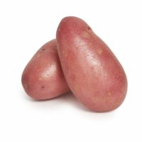 desiree potato seedlingcommerce © 2018 7858.jpg