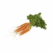 dutch carrots seedlingcommerce © 2018 8031.jpg