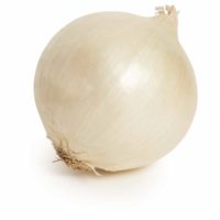 white onion seedlingcommerce © 2018 8010.jpg