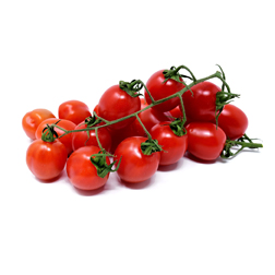 tomatoes 3121960 1920 72dpi.jpg